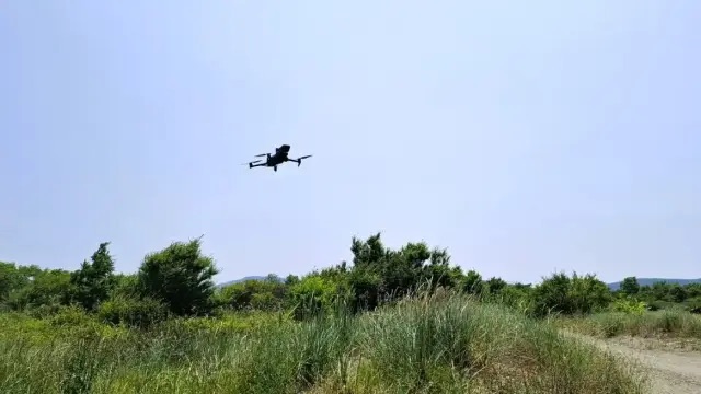img_4522.jpg