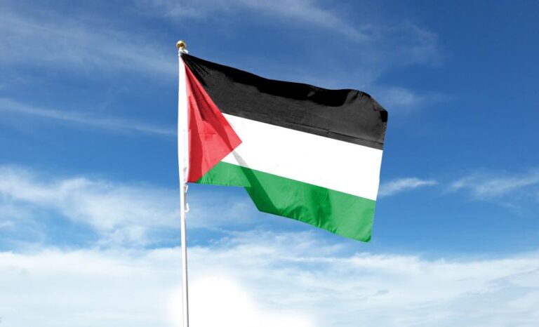 991-ratio-palestina-flag
