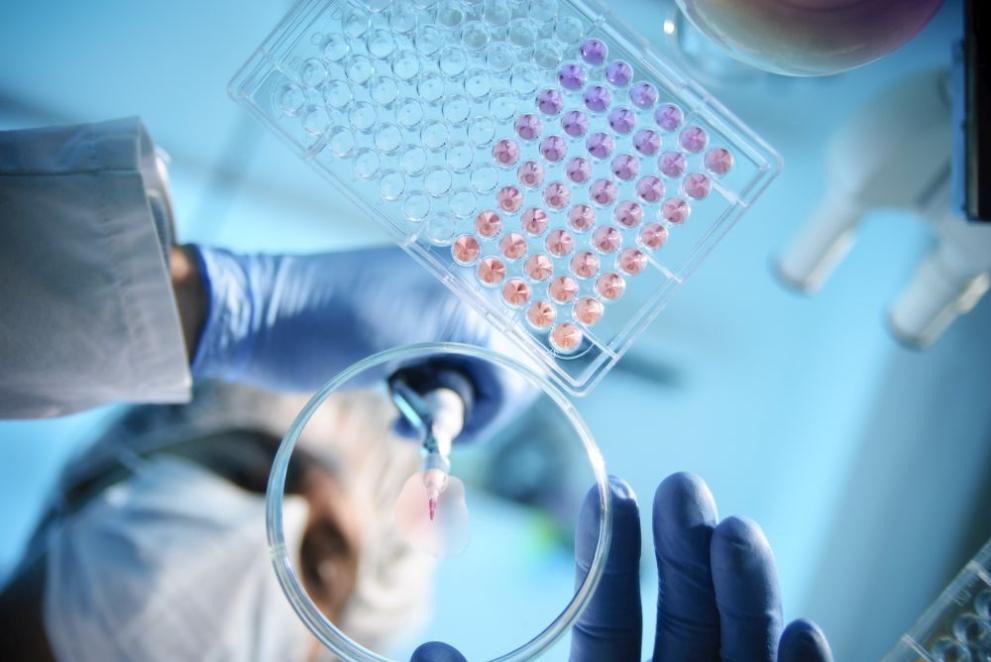 991-ratio-laboratoriia