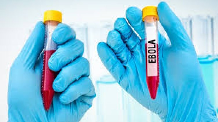 4bba7dd5a587586bef491e2f89f3ff7c-ebola
