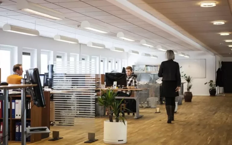 office-business-company-2360063.jpg.webp